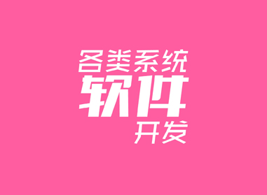 進(jìn)入了解各類(lèi)系統(tǒng)、軟件開(kāi)發(fā)